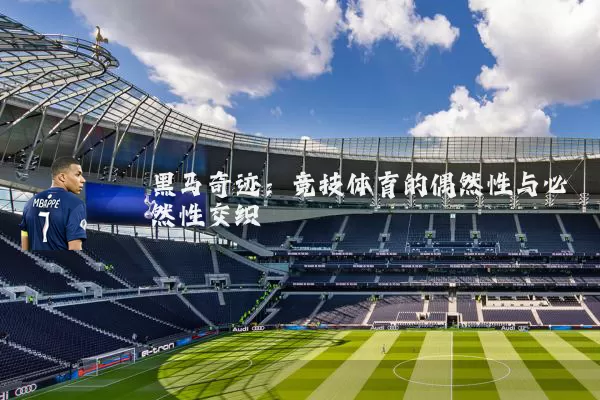 黑马奇迹：竞技体育的偶然性与必然性交织
